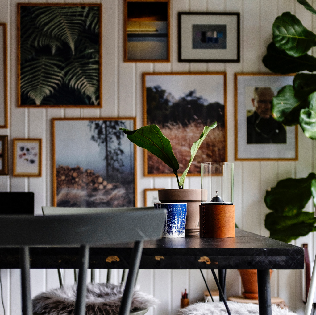 Considering cruelty-free interiors